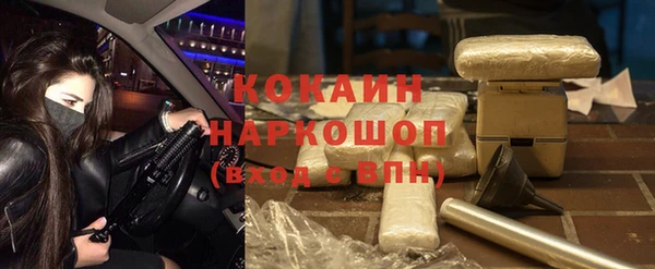 твердый Алзамай