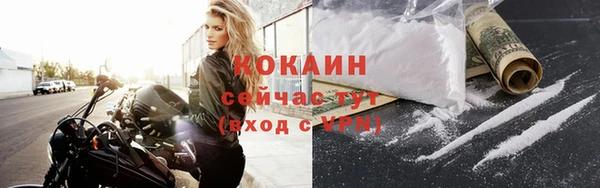 твердый Алзамай