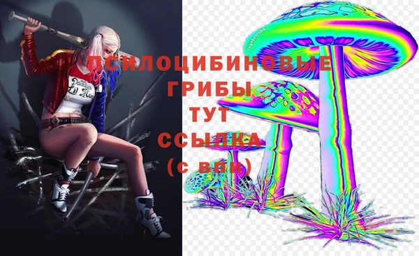 твердый Алзамай