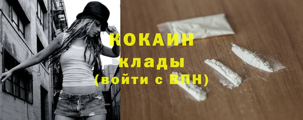 ПСИЛОЦИБИНОВЫЕ ГРИБЫ Аркадак