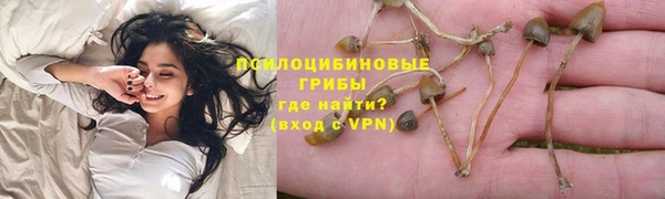 тгк Алексеевка