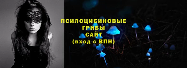 эйфоретик Алексин