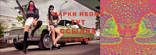 твердый Алзамай