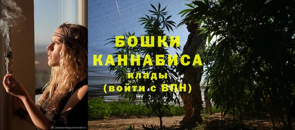 ECSTASY Рославль