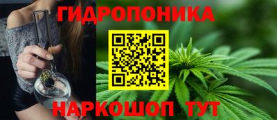 Альфа ПВП Дубна