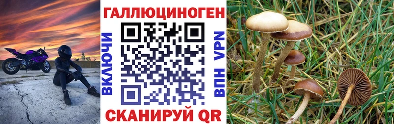 как найти   сайты даркнета какой сайт  Галлюциногенные грибы Cubensis  Междуреченск 