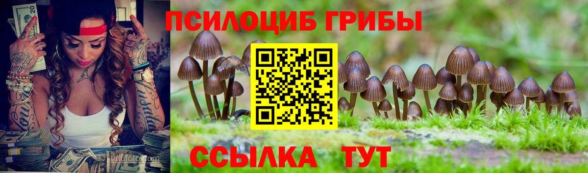 Псилоцибиновые грибы мухоморы  Вход с VPN  Междуреченск 